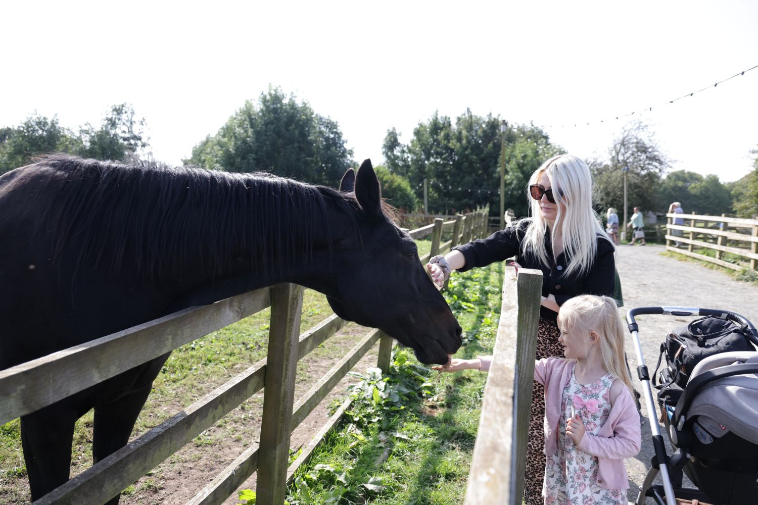 Family petting a horse