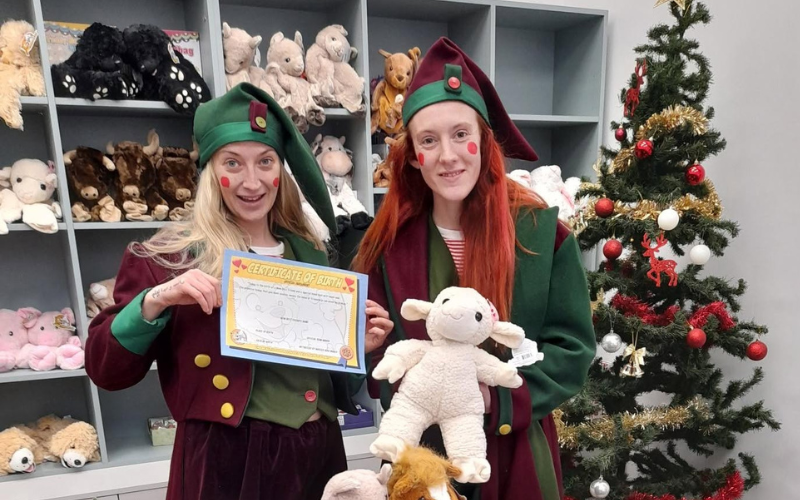 Christmas Elf Academy Build a bear