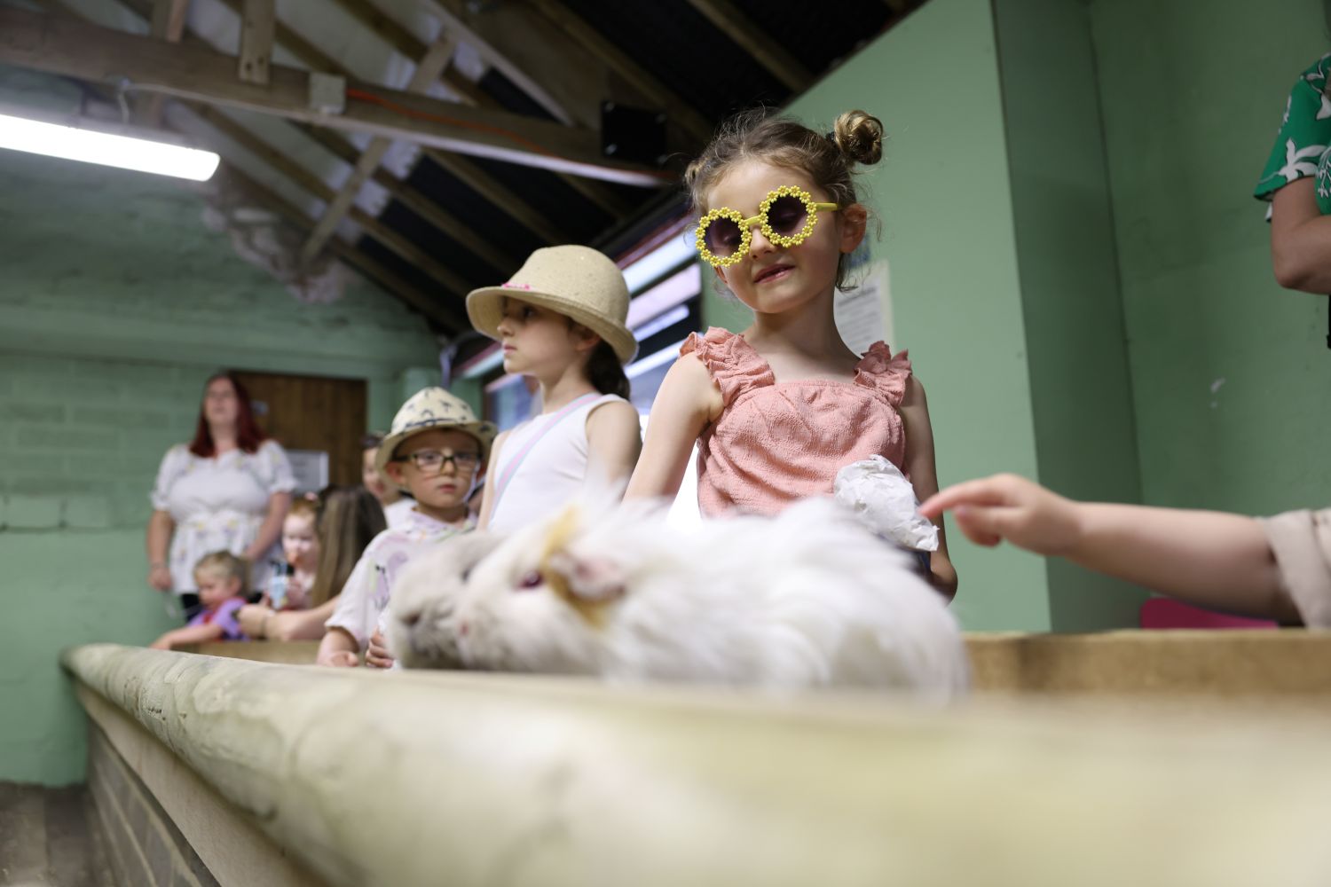 Meeting the guinea pigs in the discovery barn Indoor activities like meeting the guinea pigs in the discovery barn