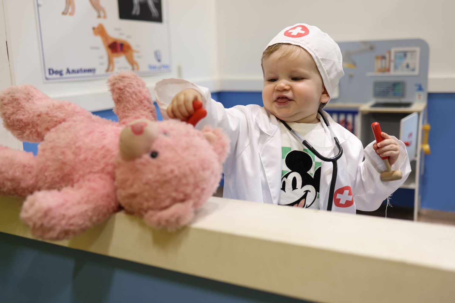 Play Town vet treating poorly teddy