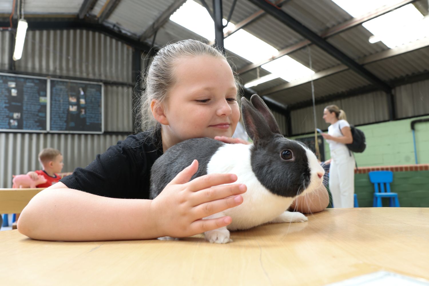 Rabbit animal care session with children and families