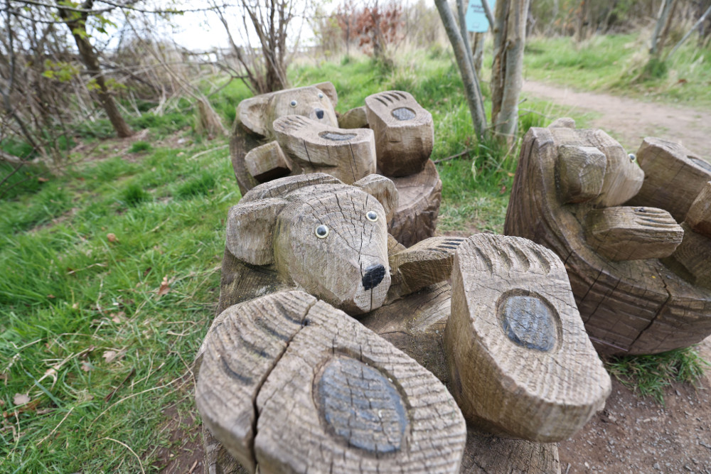 Woodland walk bear seats Woodland walk bear seats