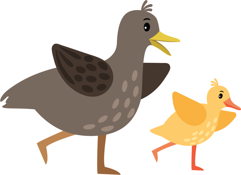 Newham Grange illustration ducks