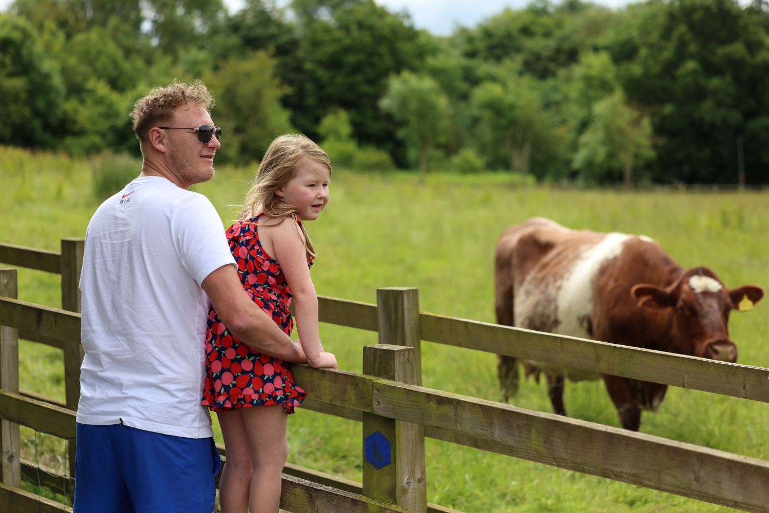 Family enjoying regular visits to see the cows with an annual pass